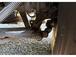 Gallery image 39